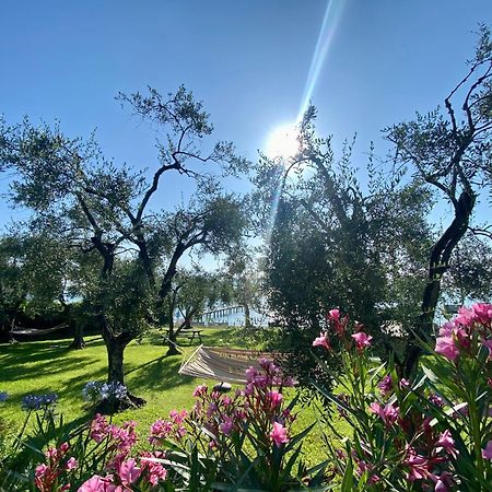 Villa Schindler Manerba del Garda Εξωτερικό φωτογραφία