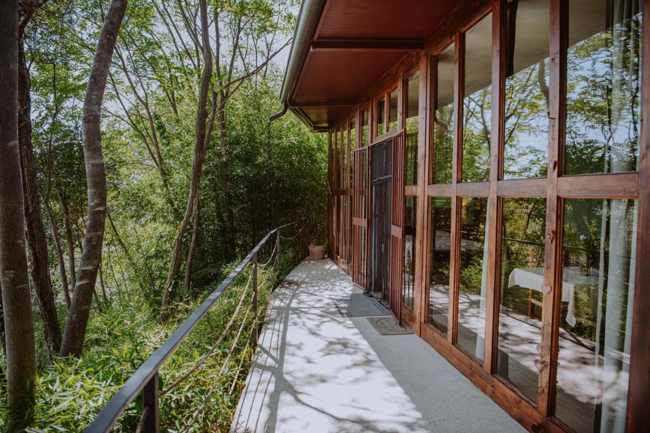 Villa Schindler Manerba del Garda Εξωτερικό φωτογραφία
