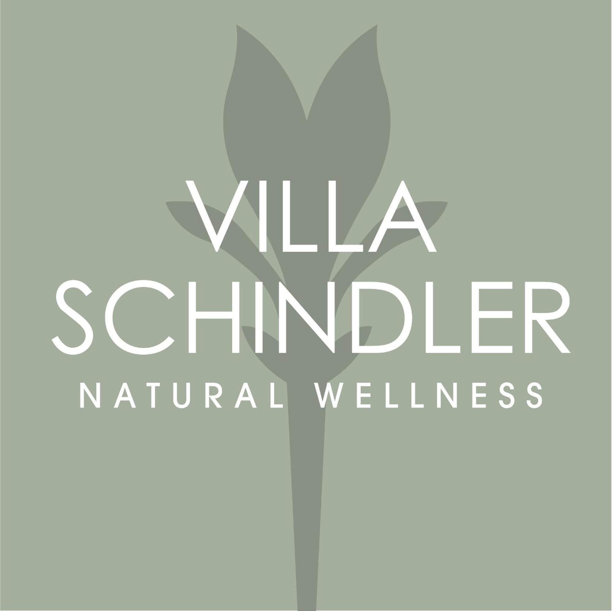 Villa Schindler Manerba del Garda Εξωτερικό φωτογραφία
